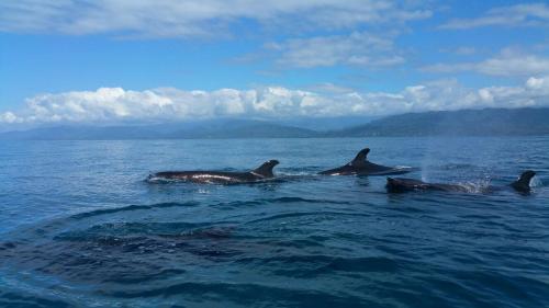 Karandi Hostel in Uvita