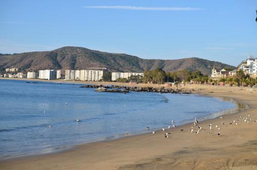 Entre Playa y Bosque Papudo