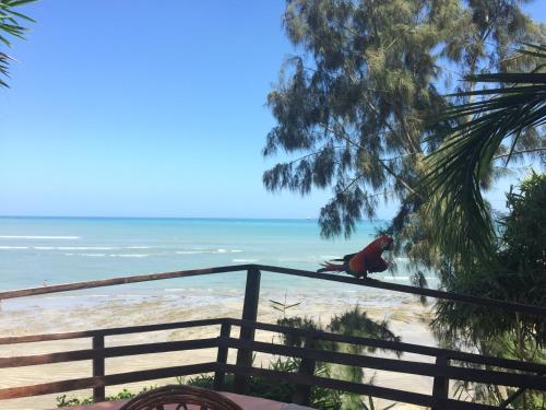 Balcony/terrace, Hosteria Ecologica El Faro in Salinas