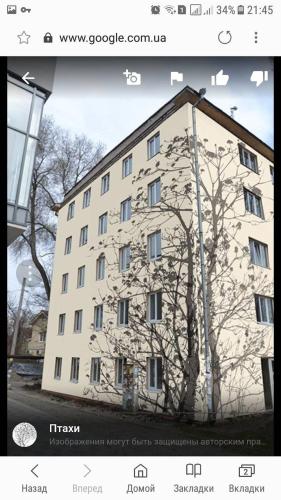 Studio Apartment image 1