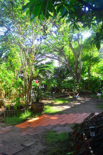 Garden, AMAMI-Green-Garden in Amami