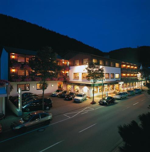 Bejárat, Sporthotel Gobel Garni in Willingen (Upland)