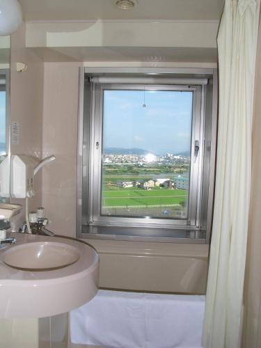 Hotel New Green Tsubame Sanjo - 화장실