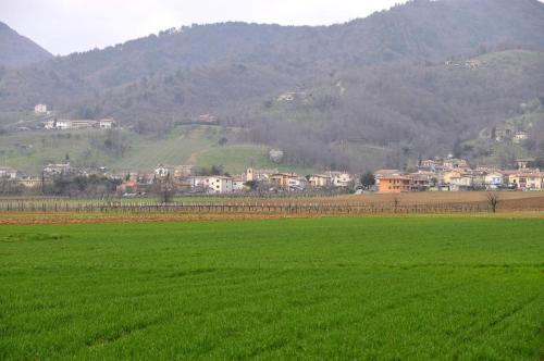 Sant'Andrea Agriturismo con cantina Martignago Vignaioli Asolo Prosecco Docg Wines - image 13