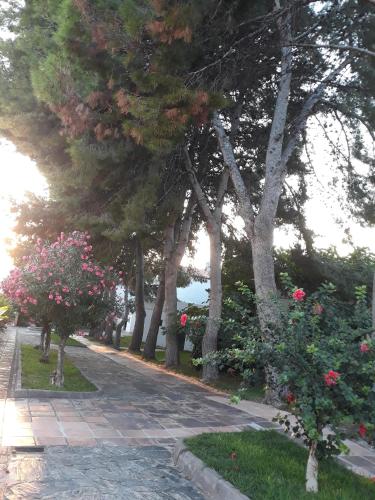 APARTAMENTO EN URB. RESIDENCIAL 2 DORMITORIOS 4 Per.