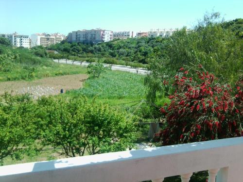  Traquility at Villa Fonte Coberta in Lagos