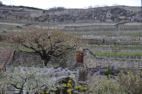 Domaine du Burignon - image 12