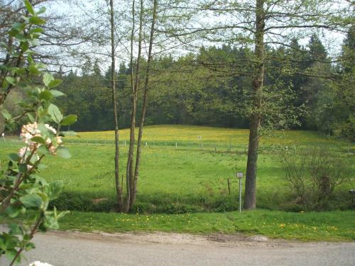 Gasthof & Landhotel Ohrnbachtal