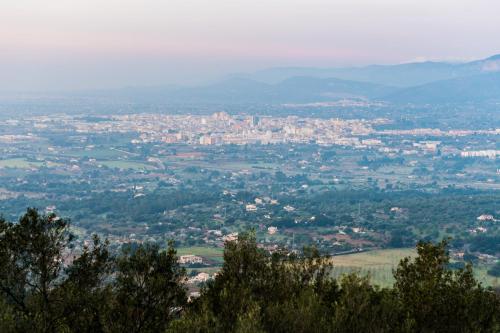 Sabatera - image 4