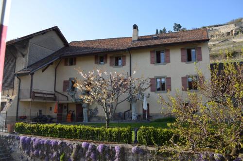 Domaine du Burignon - image 2