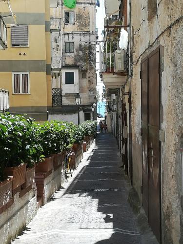 Méditerranée, Minori (Foto 10)