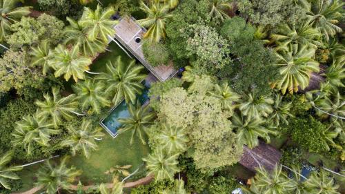 KAJU GREEN Eco lodges