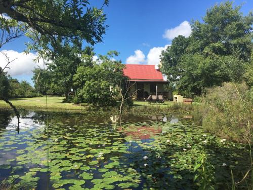 Forest Edge Forest Edge