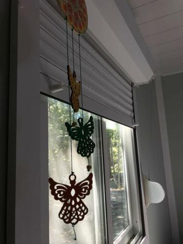 拉斯康迪达牧场农家乐