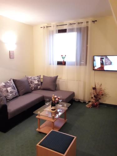 Apartman 410 Vila Nikola - main image