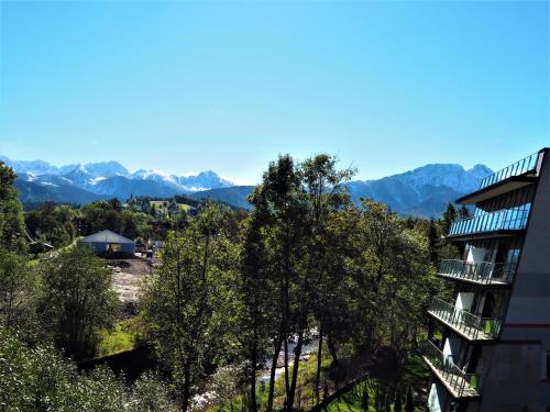 One Bedroom Apartment with Mountain View image 9