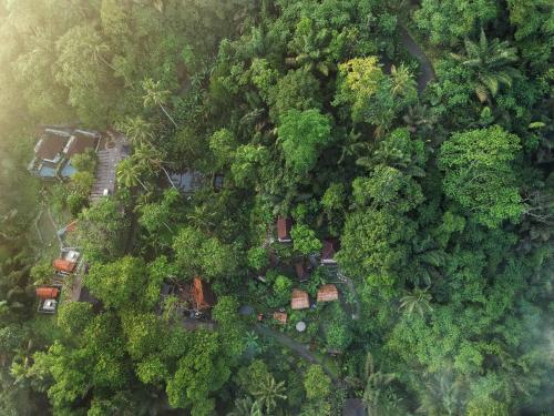 Bali Jungle Huts