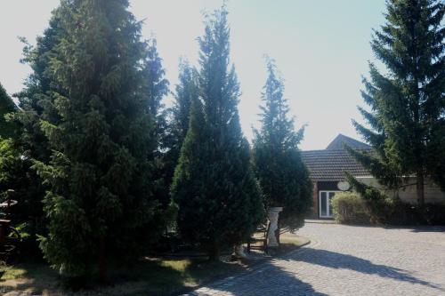 Spreewaldhotel Garni Raddusch - main image