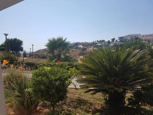 Belmar Spa & Beach Resort - image 6