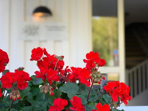 Böda Hotell