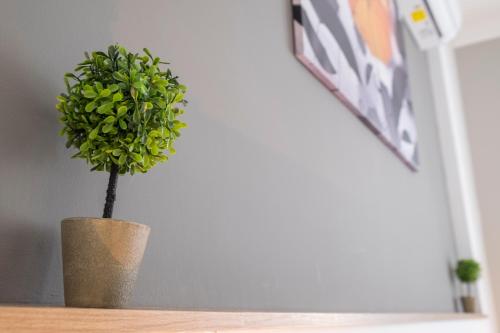 Apartment image 6