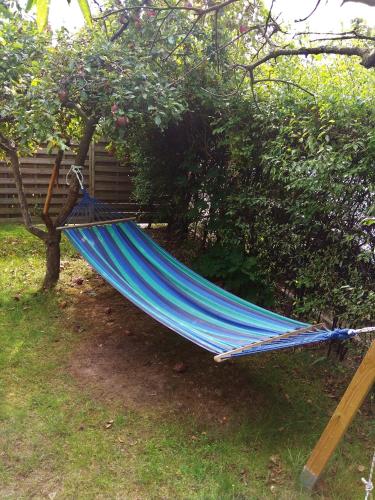 Olive Hostel, Danzig (Foto 8)