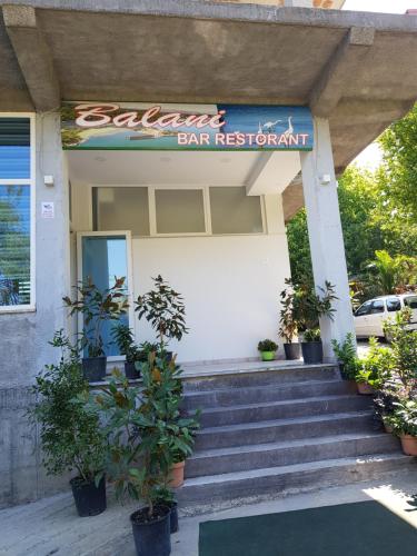 Balani - image 7
