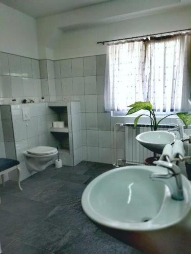 Apartment Rude, Vodice (photo 2)