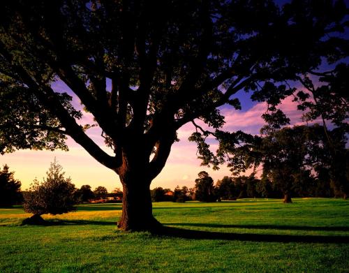 Meon Valley Hotel Golf & Country Club - image 5