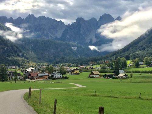 Dachstein Mountainview Gosau - Apartment