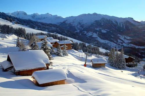 Surrounding environment, LES SAISIES - LA PERLE DES ALPES in Beaufort