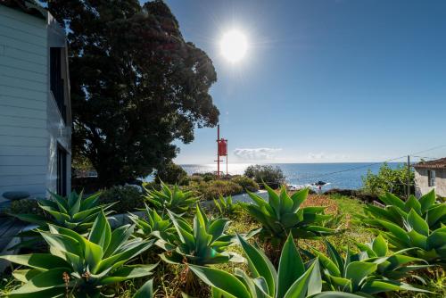 ทัศนียภาพ, T2 Lux Casa das Pereiras in กาลเยตา เด เนสกิม