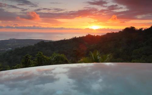 Golden Pineapple Villas-Adults Only photo 3