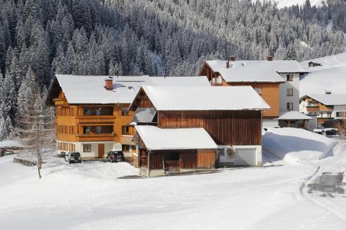 Landhaus Trista in Damuls