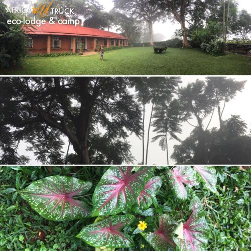 AfricaWildTruck Eco Camp & Lodge – Mulanje