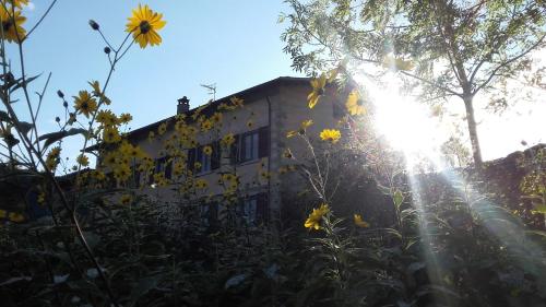  Fattoria La Guedrara, Pension in Sestola