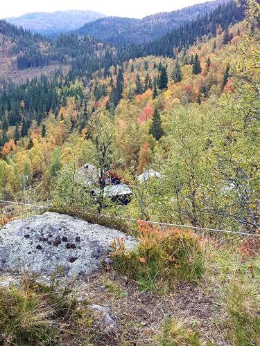 Leilighet i Åmotsdal