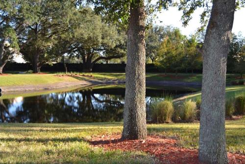 Villa Andrade - Lucaya Village Orlando (FL)