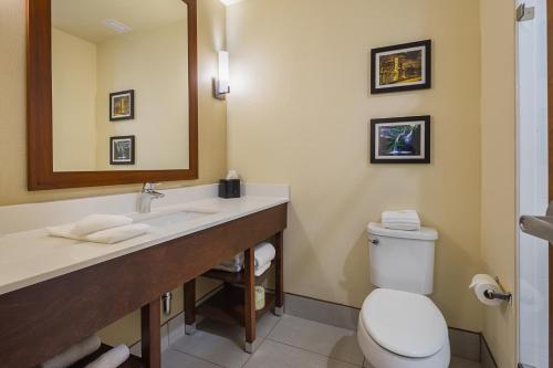 King Suite with Roll-in-Shower - Accessible/Non-Smoking