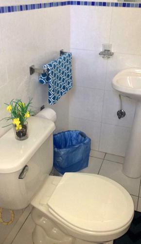 Courtesy Apartments Aruba - image 4