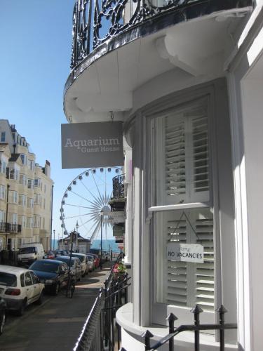 Aquarium Guest House - image 4