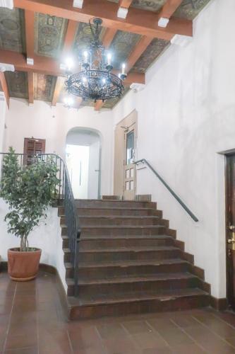 Casa Bonita Apartments - image 6