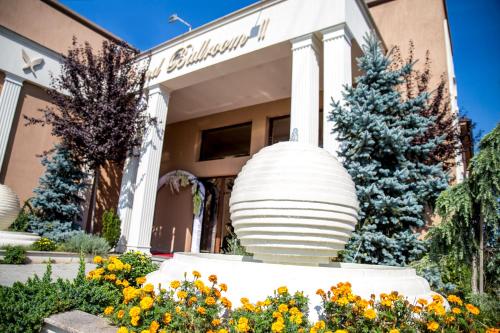Hotel Yarus - image 7
