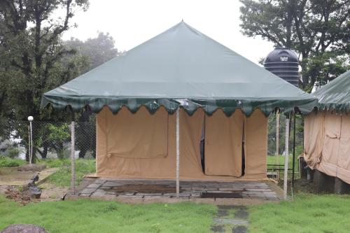 Tripper Nest Luxury Camp Kharota Dharamshala