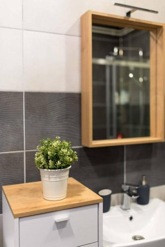 Apartman Park - image 8