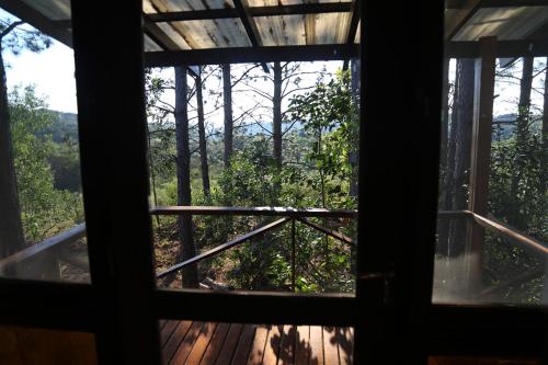 Piel de Timbó (Piel de Timbo) in Aristobulo Del Valle