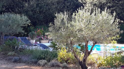 L'Abrialys – Lorgues, ID