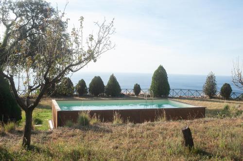 Sopra il Limoneto photo 2