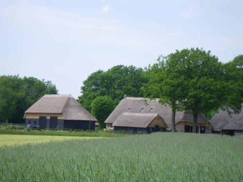  Gastenverblijf Lheederhof, Pension in Dwingeloo bei Eursinge