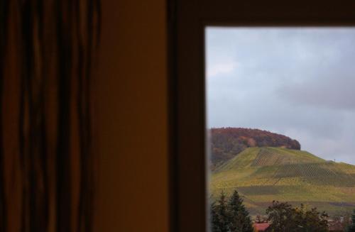 盖斯汀豪斯维根酒店 盖斯汀豪斯维根酒店